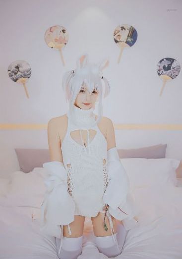 向日葵的绽放动画观看免费